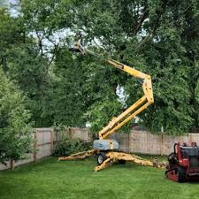 Best Tree Health Inspection  in Kenmore, WA
